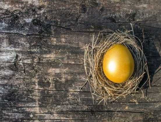 IL-Group-1-e1637615734870